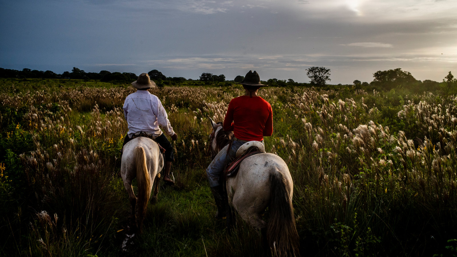 Savanna Orinoquia Lodge